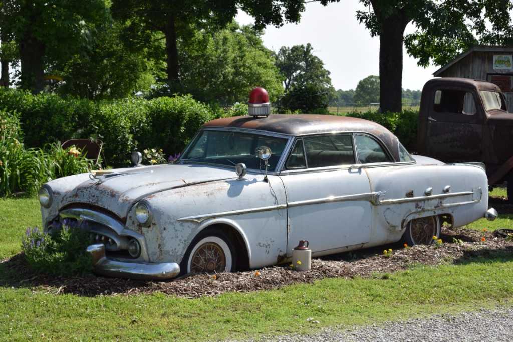 DSC_0298Mittel_.JPG